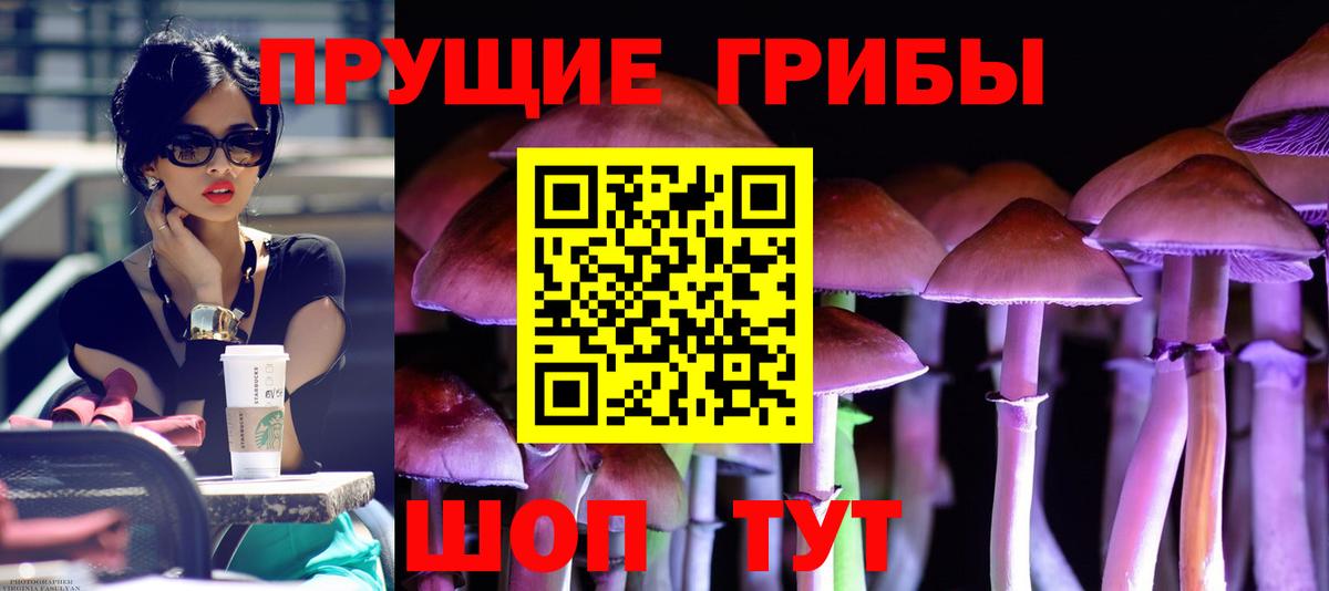 Галлюциногенные грибы GOLDEN TEACHER  Галлюциногенные грибы Cubensis  Вход с VPN  Спасск-Дальний 